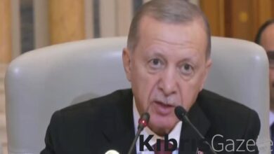 Cumhurbaşkanı Erdoğan'dan İsrail'in Gazze saldırılarına tepki: Eşi benzeri görülmemiş barbarlık 8 cumhurbaskani erdogandan israilin gazze saldirilarina tepki esi benzeri gorulmemis barbarlik ClSkJ7Hi