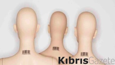 daha once hic duymadiniz aklinizi basinizdan alacak 10 eglenceli gercek hjntdVS6