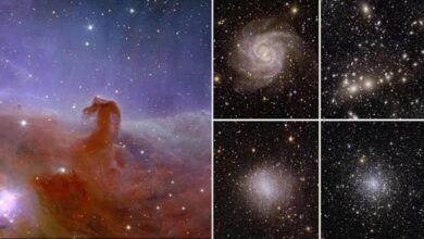 Daha önce hiç görmediniz: Avrupa Uzay Ajansı, evrenin ilk tam renkli görüntülerini yayınladı! 2 daha once hic gormediniz avrupa uzay ajansi evrenin ilk tam renkli goruntulerini yayinladi MSJANKE8