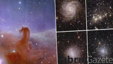 Daha önce hiç görmediniz: Avrupa Uzay Ajansı, evrenin ilk tam renkli görüntülerini yayınladı! 2 daha once hic gormediniz avrupa uzay ajansi evrenin ilk tam renkli goruntulerini yayinladi eDQPD6vh