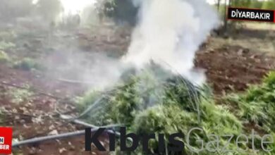 diyarbakirda uyusturucu operasyonu teror orgutunun finans kaynagina darbe vuruldu JRUYCEPX
