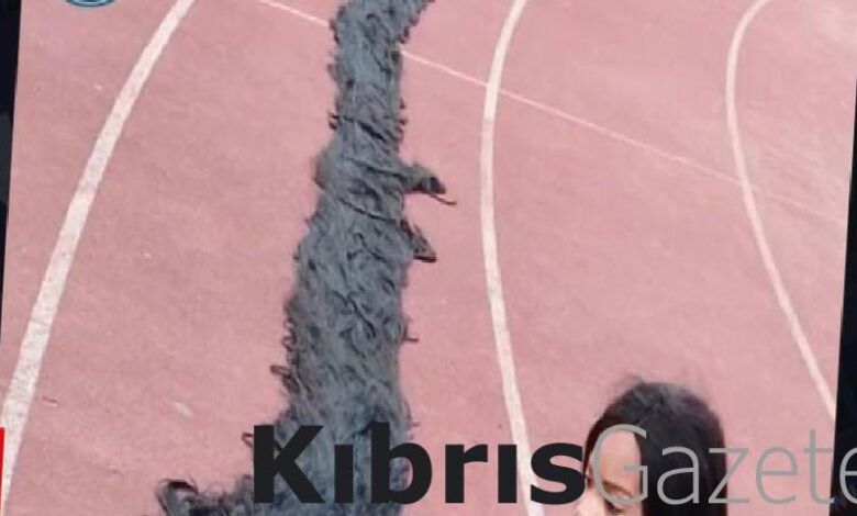 dunyanin en uzun el yapimi perugu edRbbWin