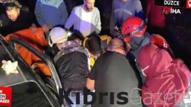 duzce anadolu otoyolunda can pazari Pcu8WdMe