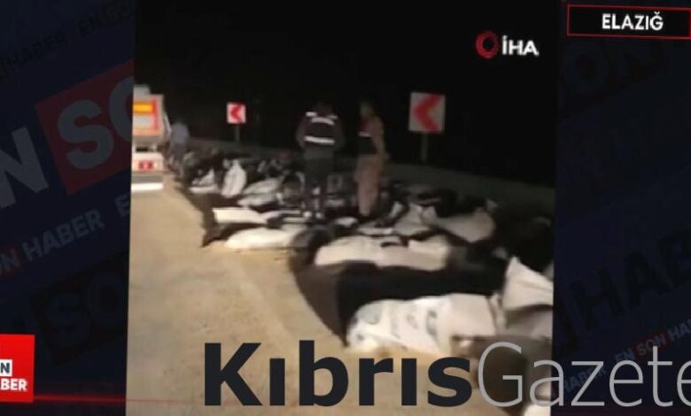 elazigda tonlarca yem tir dorsesinden yola sacildi JJdwJCBW