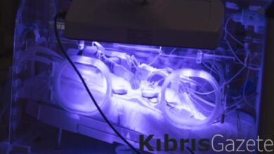 Erzurum'da prematüre doğan bebeklerin, kuvözden anne kucağına yolculuğu 1 erzurumda premature dogan bebeklerin kuvozden anne kucagina yolculugu cfJg2v2D