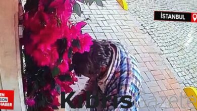 fatihte otele ait suni cicekleri koparan kisi yangin cikardi tRhZyrky