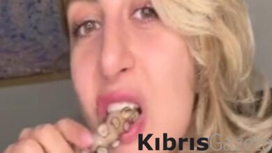 fenomen doktor ahtapotu cig cig yedi mideler sahlandi sen bizi de yersin nHd8HKfb