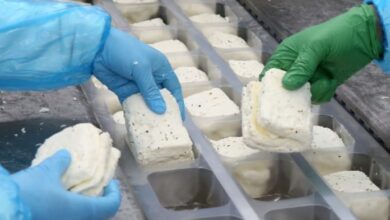 Güney Kıbrıs’ta sütün üretim maliyetinin formülünü bağımsız kuruluş yapacak 1 guney kibrista sutun uretim maliyetinin formulunu bagimsiz kurulus yapacak sLuh3fet