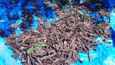 harpuplar alindi ama kuflenen urunler oldu bhsZpUGx