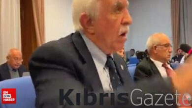 HEDEP’li Cengiz Çandar: YPG terör örgütü değildir 9 hedepli cengiz candar ypg teror orgutu degildir ExNafScT