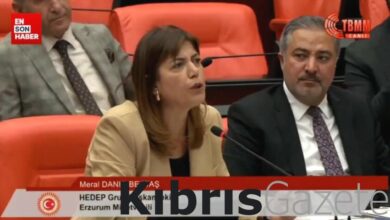 HEDEP'li Meral Danış Beştaş: Terörist senin babandır 9 hedepli meral danis bestas terorist senin babandir 9LxC7SfS