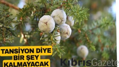 icen tansiyonu defliyor bu bitkideki sifa inanilmaz 8aBug6Il