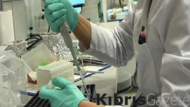 İngiltere'de ilk kez bir kişide domuz gribinin farklı türü görüldü 1 ingilterede ilk kez bir kiside domuz gribinin farkli turu goruldu CeXeadE1
