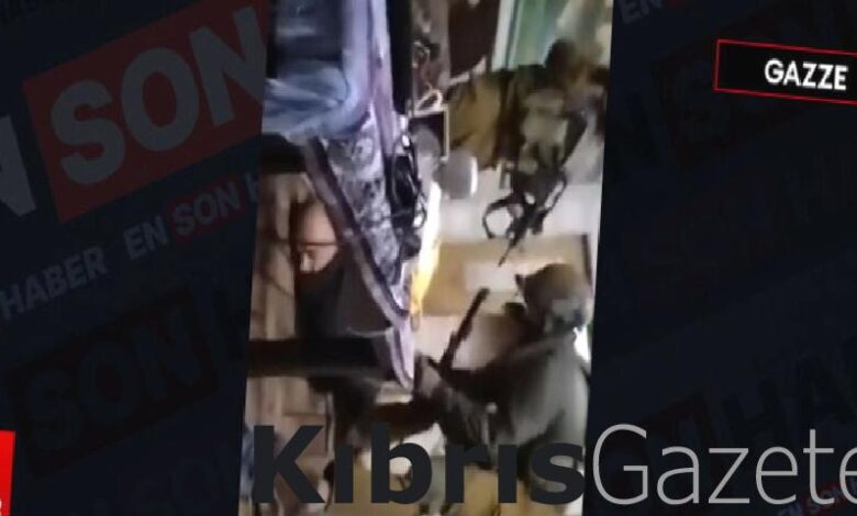 israil askerleri filistinliyi canli yayinda darbetti HPQ9bGmC