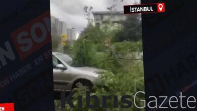 istanbulda firtina agac otomobil uzerine devrildi 18SxJ7R8