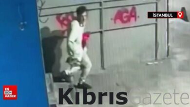istanbulda kacirdigi kediyi tekmeleyip oldurdu tutuklandi rag97faQ