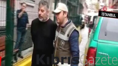 İstanbul'da kedi toplarken yakalanan şüphelinin iş yerinden ölü kediler çıktı 6 istanbulda kedi toplarken yakalanan suphelinin is yerinden olu kediler cikti ubNW8r5v