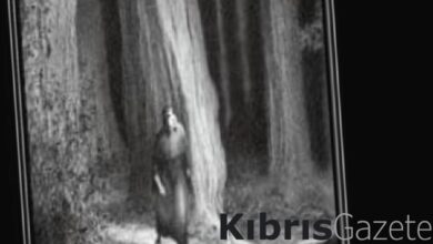 İtalyan dahinin ruhuna ihanet etmeyen, eşsiz bir uyarlama: Dante’nin Cehennemi 1 italyan dahinin ruhuna ihanet etmeyen essiz bir uyarlama dantenin cehennemi WTKTcCHq