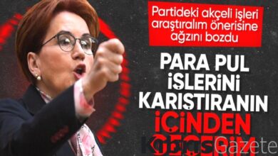 İyi Partili Arzu Önşen'in Meral Akşener'i şikayet dilekçesi ortaya çıktı 2 iyi partili arzu onsenin meral akseneri sikayet dilekcesi ortaya cikti Ysnym92G