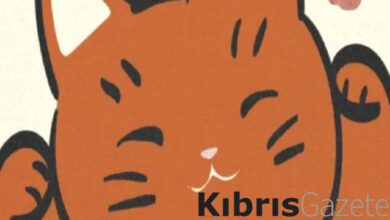 iyi sansa dair bir japon felsefesi maneki neko 5ebDwkgP