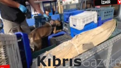 izmirde uyusturucu operasyonu kamyonet kasasinda 21 kilo esrar bulundu GpV76IZG