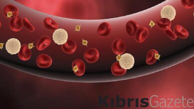 Kandaki enfeksiyonu bitiriyor! 1 avuç atıp kaynatıp için 1 kandaki enfeksiyonu bitiriyor 1 avuc atip kaynatip icin YcJPFEJO