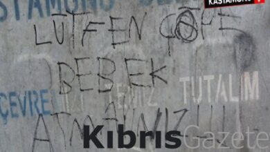 kastamonuda cope atilan yeni dogan bebegi bulan vatandas konustu lRtaCMxP