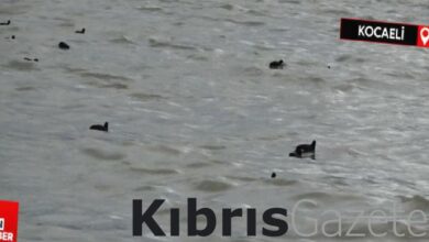 Kocaeli İzmit Körfezi'nde denizin rengi değişti 4 kocaeli izmit korfezinde denizin rengi degisti ExhW3pyH