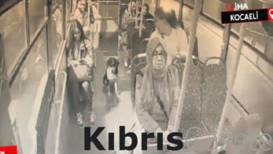 Kocaeli'de sokak köpeğinin otobüste yolculuk yaptığı anlar 9 kocaelide sokak kopeginin otobuste yolculuk yaptigi anlar 1wFuLgWl
