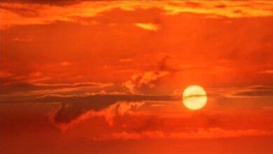 Küresel ısınmanın insan sağlığı üzerindeki etkileri tehlikeli boyutlarda 9 kuresel isinmanin insan sagligi uzerindeki etkileri tehlikeli boyutlarda PFfgVCuz