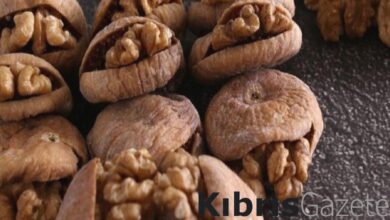 kuru incirin arasina ceviz koyup yiyin bakin neler oluyor neler Y44FmtfL