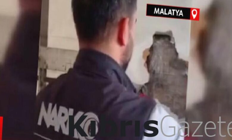 malatyada 372 kilo skunk ele gecirildi tUsfcph8