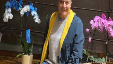 mehmet ali erbil in tiktok kazanci dilan polat kadar kazaniyorum wniWiajB