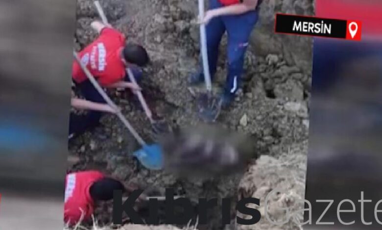 mersinde su kuyusu acmaya calisan 2 kisi gocuk altinda kalarak oldu GwOlFJxb