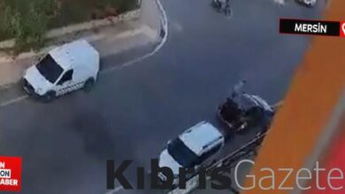 mersinde veteriner klinigi onundeki cinayet BZmW6SSG