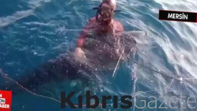 mersinde zipkinla 150 kilogramlik orkinos avlandi V2uaQ2MA