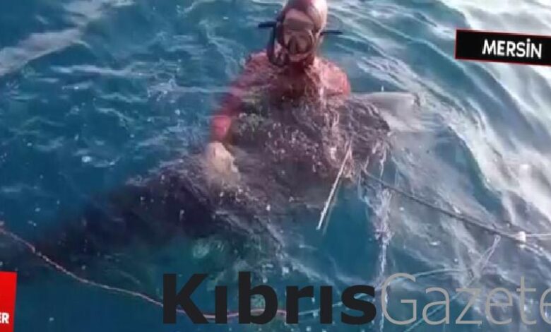 mersinde zipkinla 150 kilogramlik orkinos avlandi V2uaQ2MA