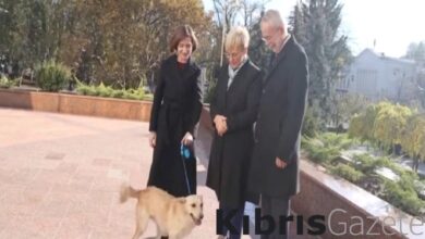 Moldova Cumhurbaşkanı Sandu’nun köpeği, Avusturya Cumhurbaşkanı Bellen'i ısırdı 9 moldova cumhurbaskani sandunun kopegi avusturya cumhurbaskani belleni isirdi jKDdhVin