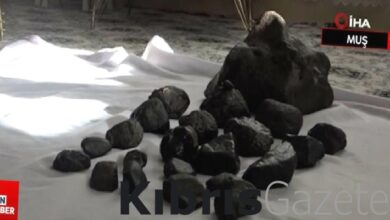 Muş'ta mantar toplarken gök taşı buldu 1 musta mantar toplarken gok tasi buldu vavuXkPl