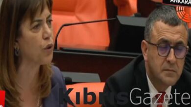 Osman Gökçek ile Meral Danış Beştaş arasında Öcalan tartışması 10 osman gokcek ile meral danis bestas arasinda ocalan tartismasi 4RrUyYXg