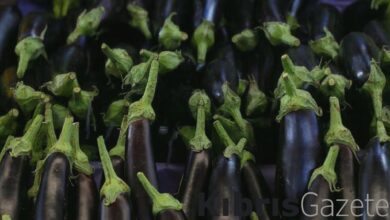 Patlıcan sapı mucizesi! Kaynatıp için, basuru dindirin... 1 patlican sapi mucizesi kaynatip icin basuru dindirin 4lwnQIkX