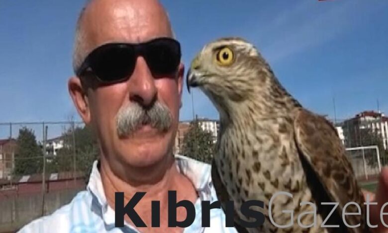 rizenin en guzel atmacalarini sectiler nT1Fa8q5