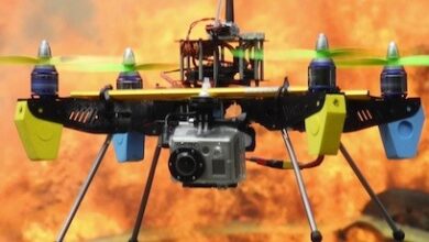 rum orman dairesine 6 iha 3Cfc12Mk