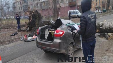 rusyada hareket halindeki aracin uzerine agac devrildi 2 olu LK6DN922