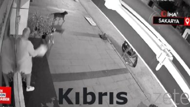 Sakarya'da dükkanını açmaya giden kadına başıboş sokak köpekleri saldırdı 2 sakaryada dukkanini acmaya giden kadina basibos sokak kopekleri saldirdi PJRTUOFu