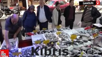 samsunda bollasan hamsinin fiyati ucuzladi LuaqcqLH