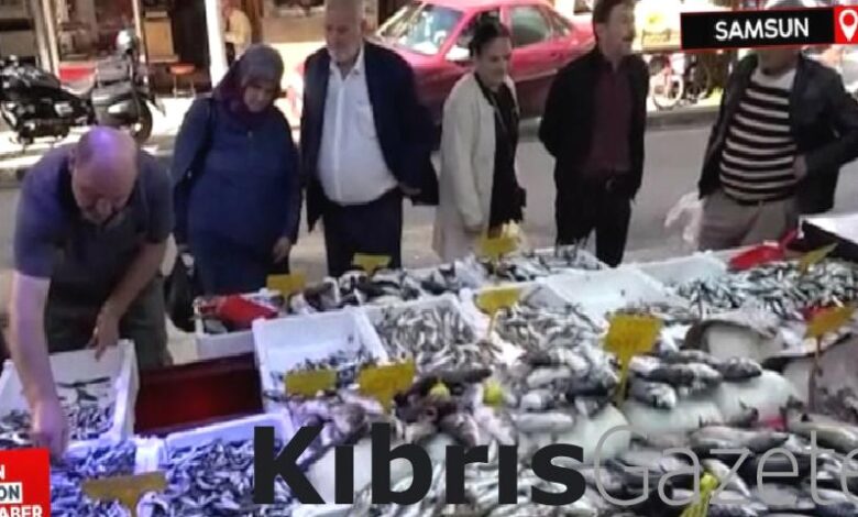 samsunda bollasan hamsinin fiyati ucuzladi LuaqcqLH