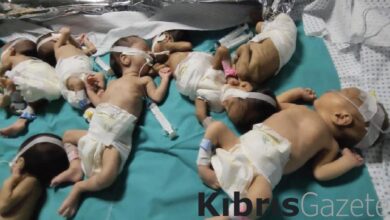 Şifa Hastanesi’ndeki 31 prematüre bebek nakledildi 1 sifa hastanesindeki 31 premature bebek nakledildi DBc34sh1