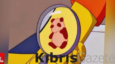 simpsonlardan korkutan panda virusu kehaneti SDUuxmSj