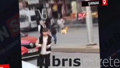 sirnakta yanan piknik tupunu balkondan sokaga atti AGOEFQhr